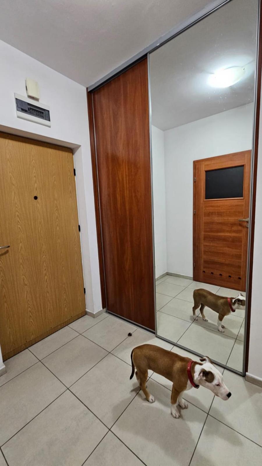 Apartament Lipinskiego Краков Экстерьер фото