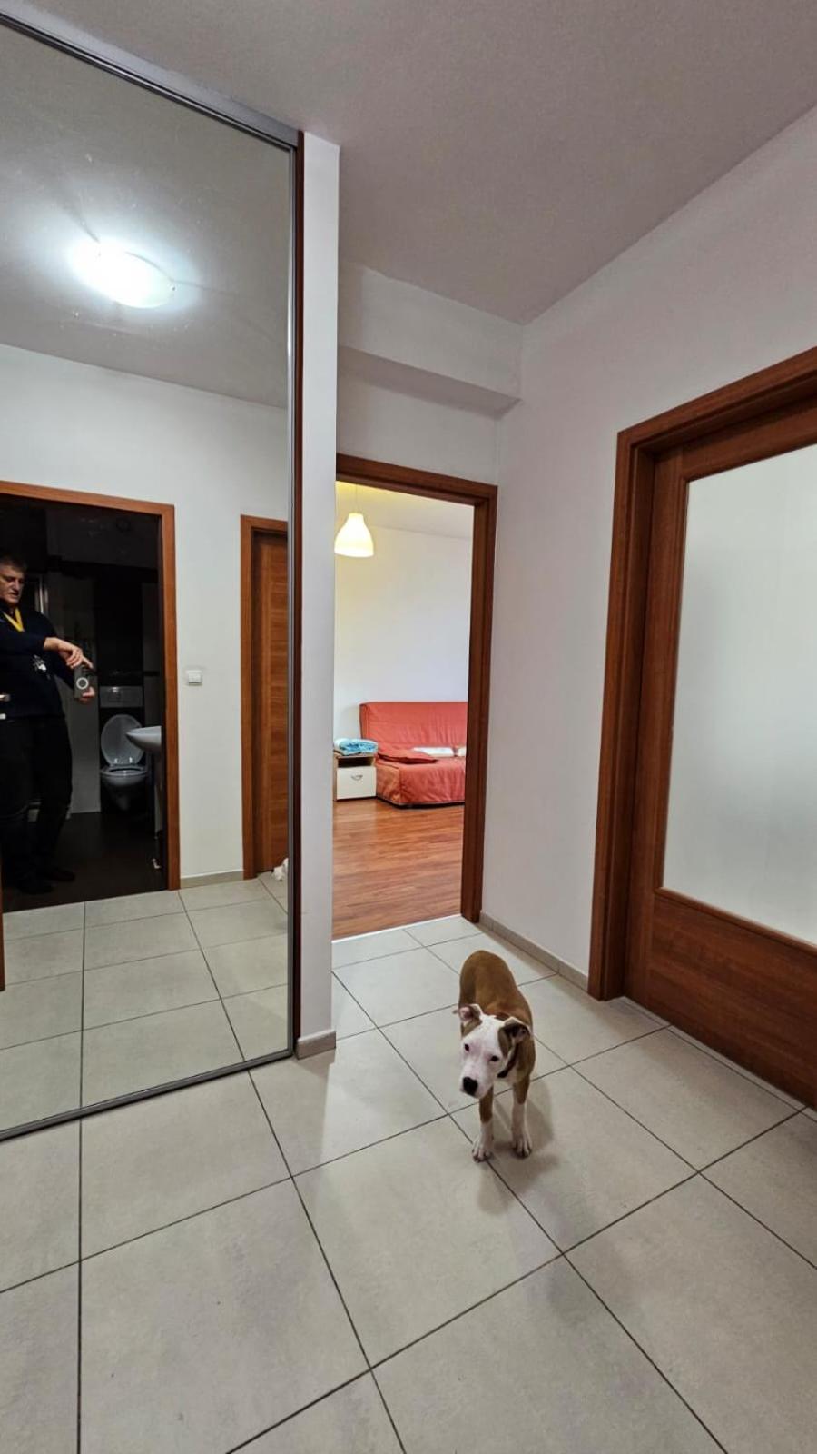 Apartament Lipinskiego Краков Экстерьер фото