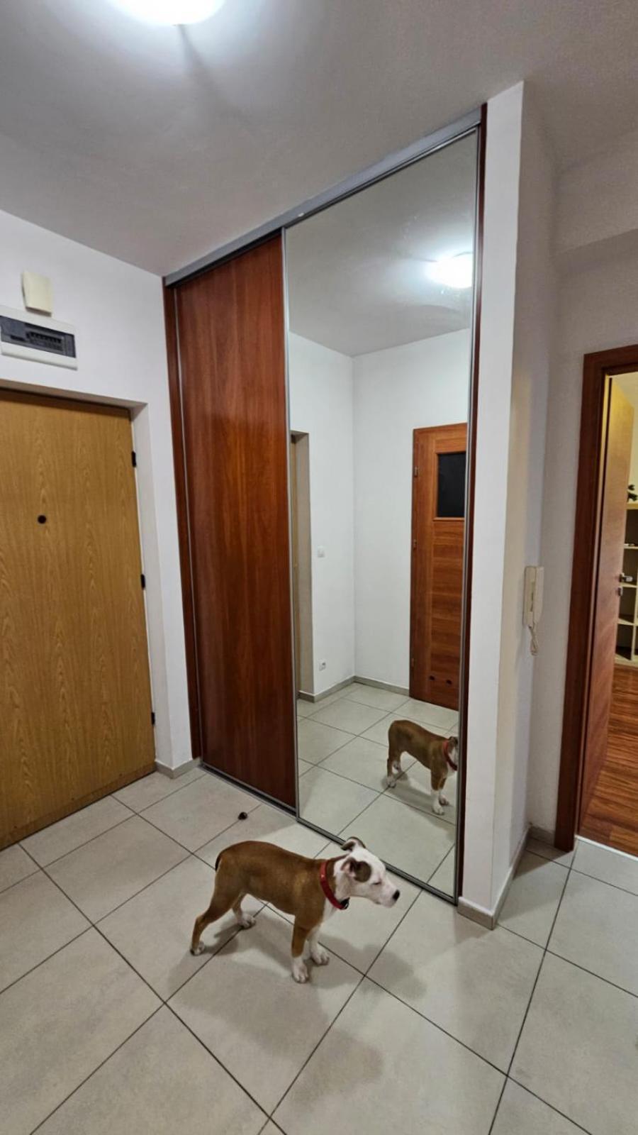 Apartament Lipinskiego Краков Экстерьер фото