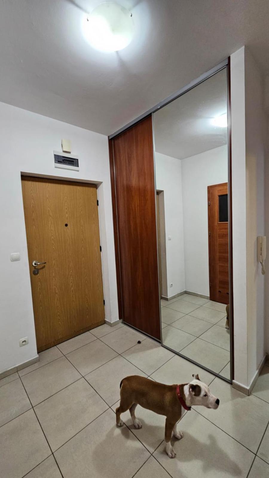 Apartament Lipinskiego Краков Экстерьер фото