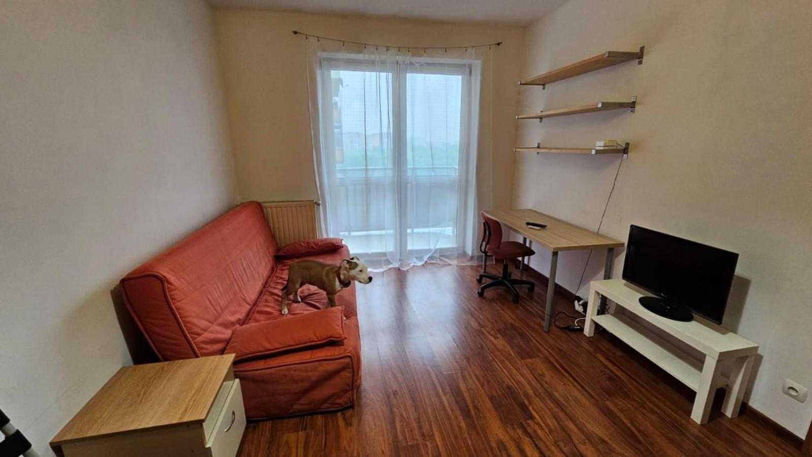 Apartament Lipinskiego Краков Экстерьер фото