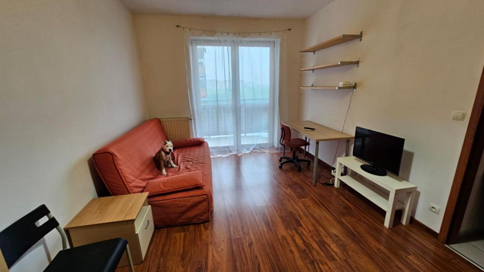 Apartament Lipinskiego Краков Экстерьер фото